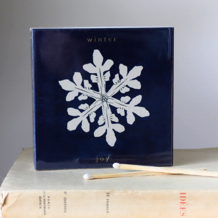 Allumettes Archivist Gallery : "Joie d'Hiver"